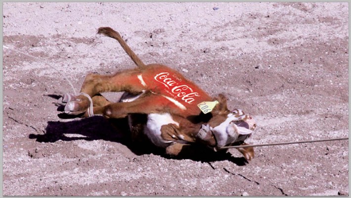 Coca-Cola: Blind to its Own Policy