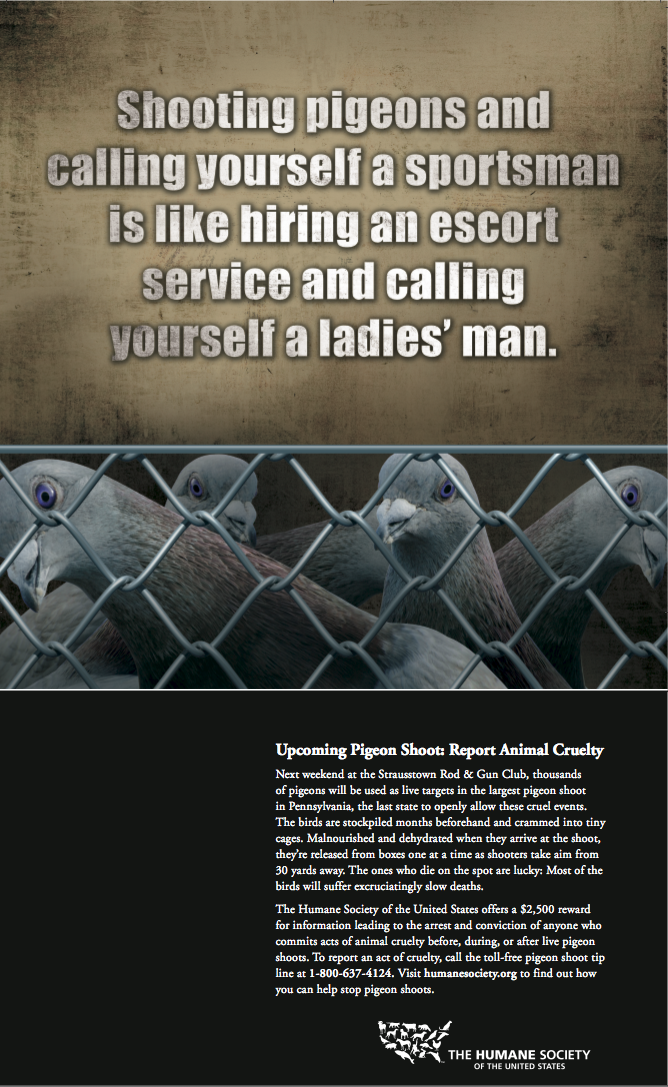 Pigeon Shoot Ad