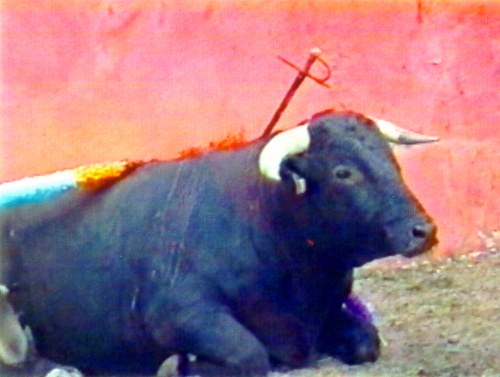 The Case Against Bullfighting
