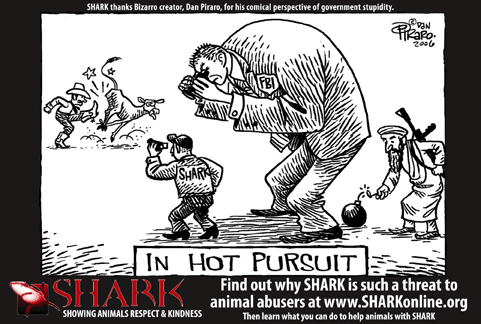 SHARK was honored when Bizarro creator, Dan Piraro, captured this facet of our work. Bizzaro Cartoon
